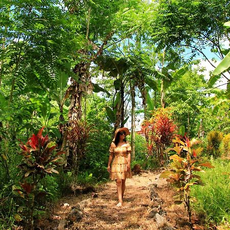 Natura Gardens Galapagos Bellavista  Eksteriør billede
