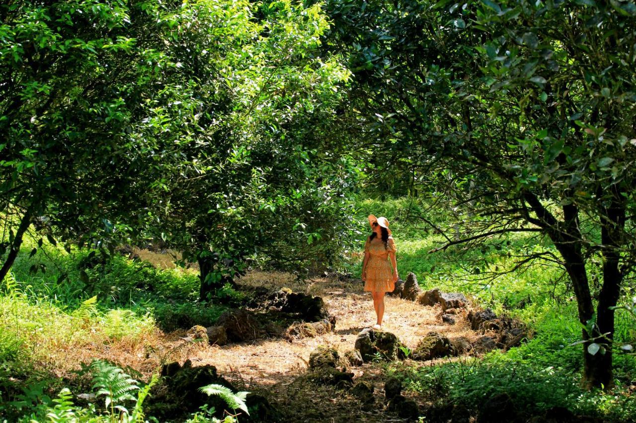 Natura Gardens Galapagos Bellavista  Eksteriør billede