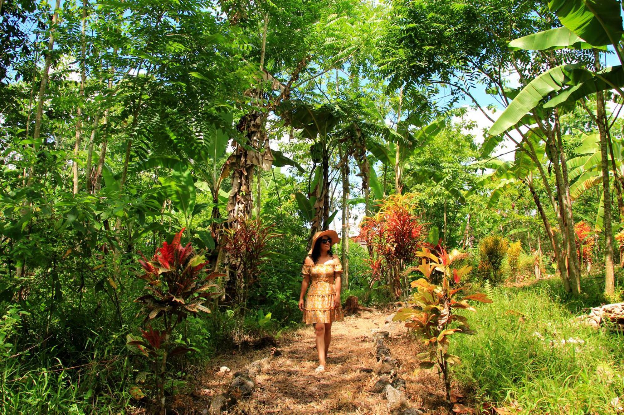 Natura Gardens Galapagos Bellavista  Eksteriør billede
